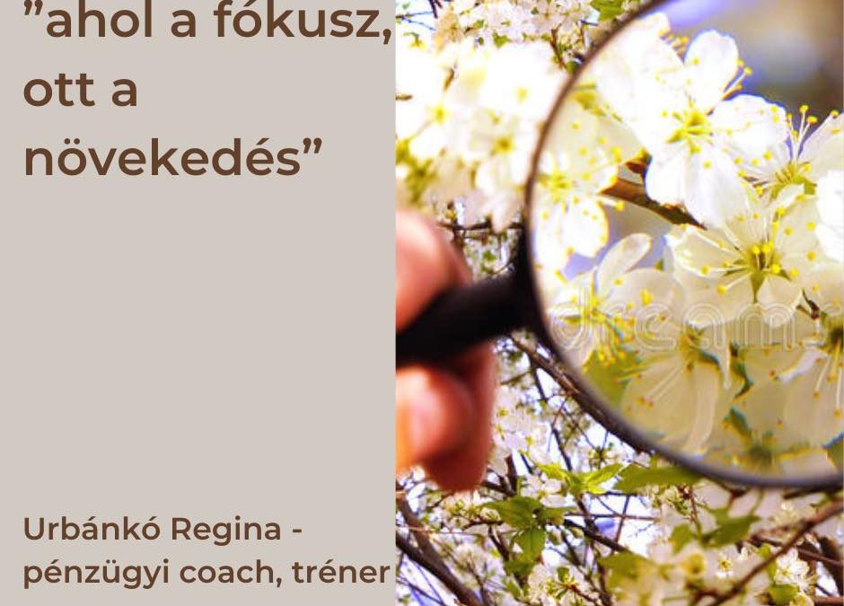 Ahol a fókusz…